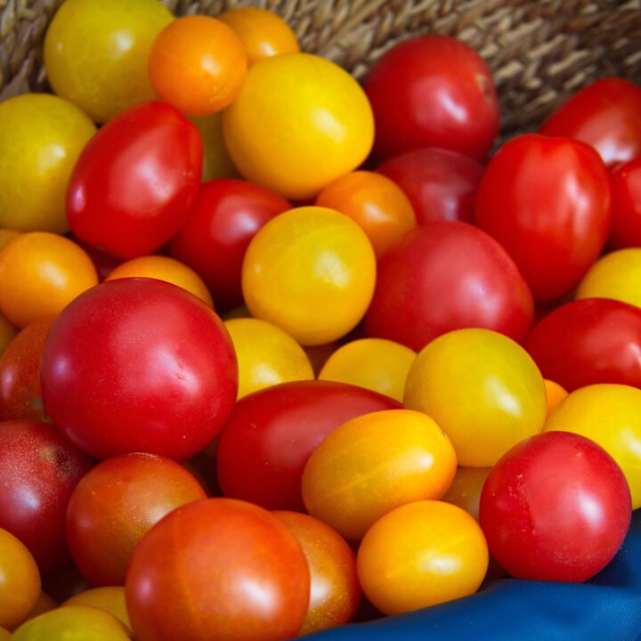 Ripe red tomatoes